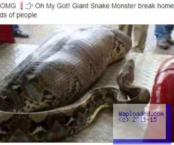 Video: Giant Snake Monster break home killing thousands of people